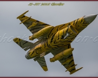 1GLOVELIER 0844